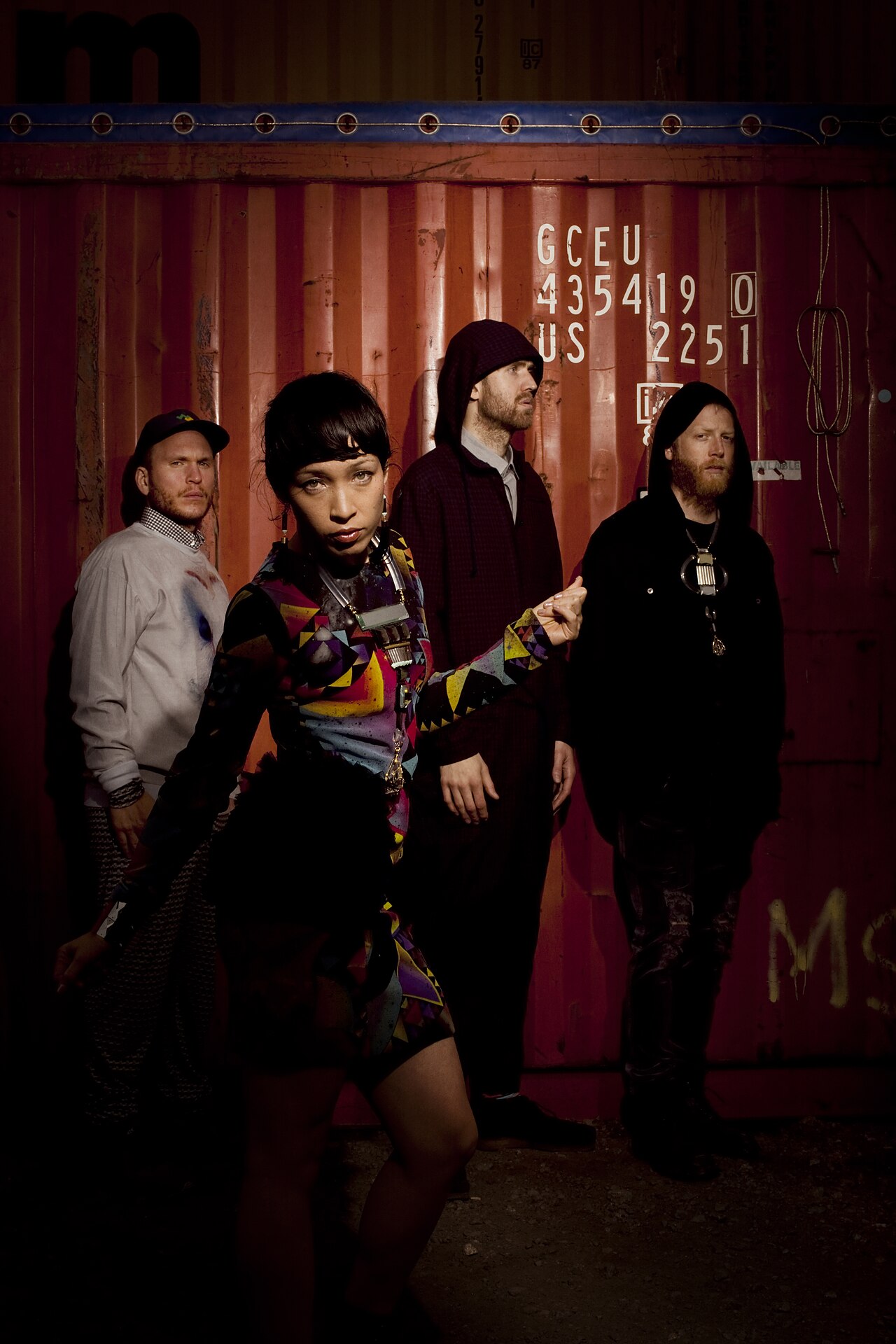 Little Dragon, sourced portrait photograph (2016)
