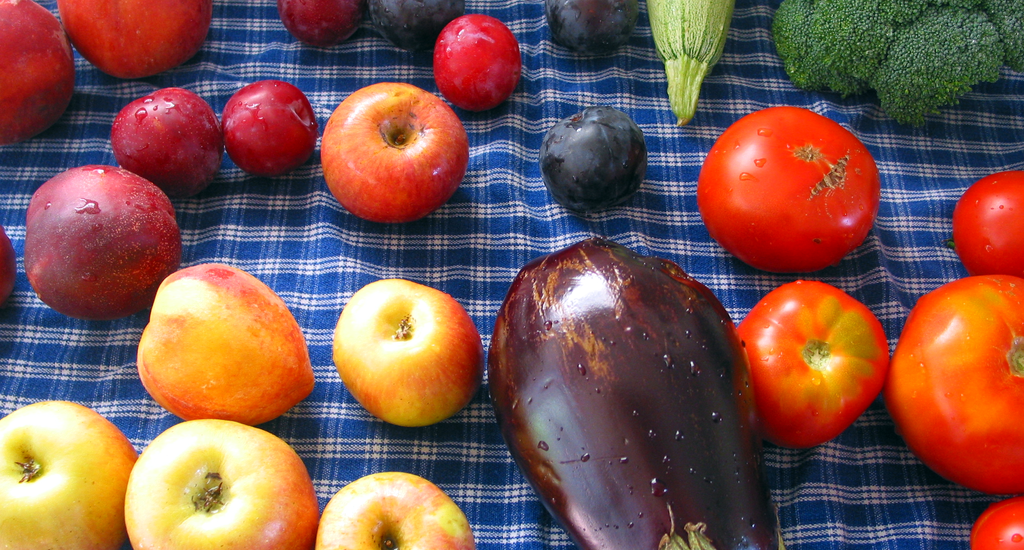 Raw Veganism is Pointless, Don’t Do It