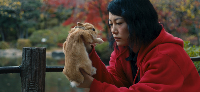 Kumiko, The Treasure Hunter