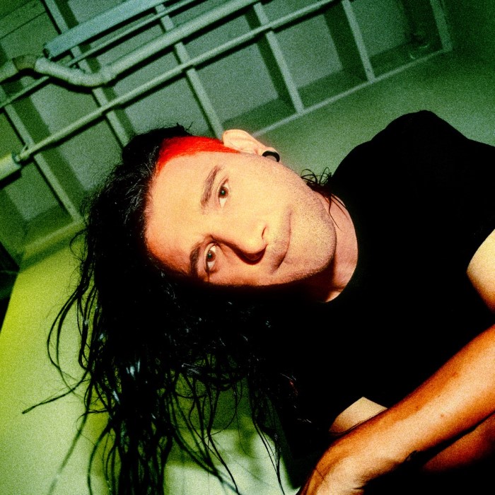 Skrillex, portrait published on the 2015 Free Press Summer Fest site