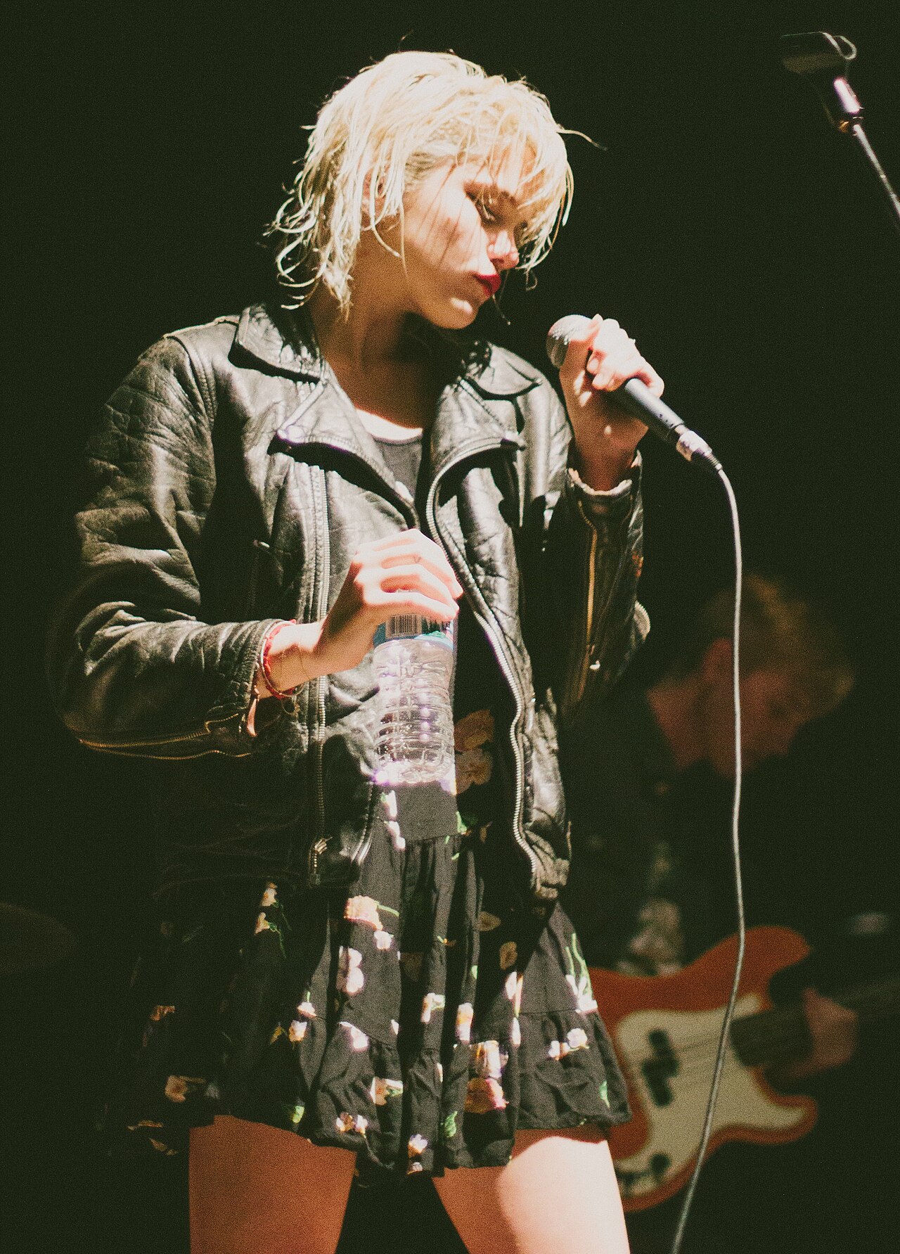 Sky Ferreira, sourced portrait photograph (2013)