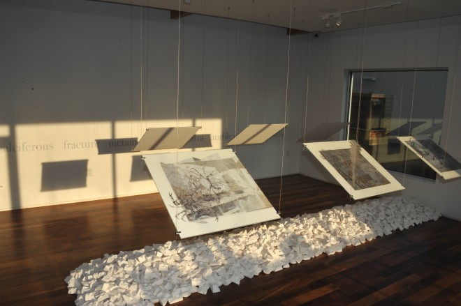 "the sky and the fracture," installation shot, photo by Jimmy Hemphill.