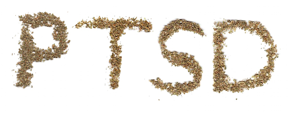Pot, Policy, and Post Traumatic Stress Disorder