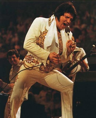 ELVIS 30 years on
