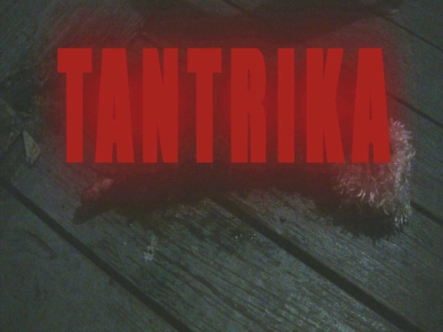 Free Press Houston » Tantrika director Shawn Travis