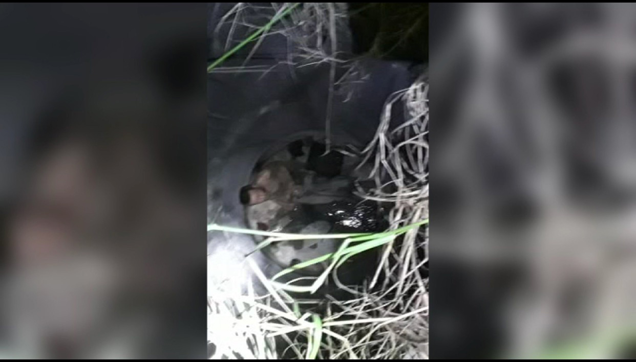 Houston Man Stuck in Manhole for Nine Days Tells His Story