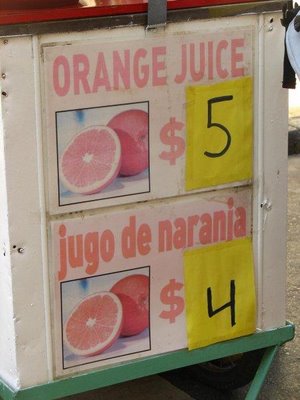 It Pays to be Bilingual