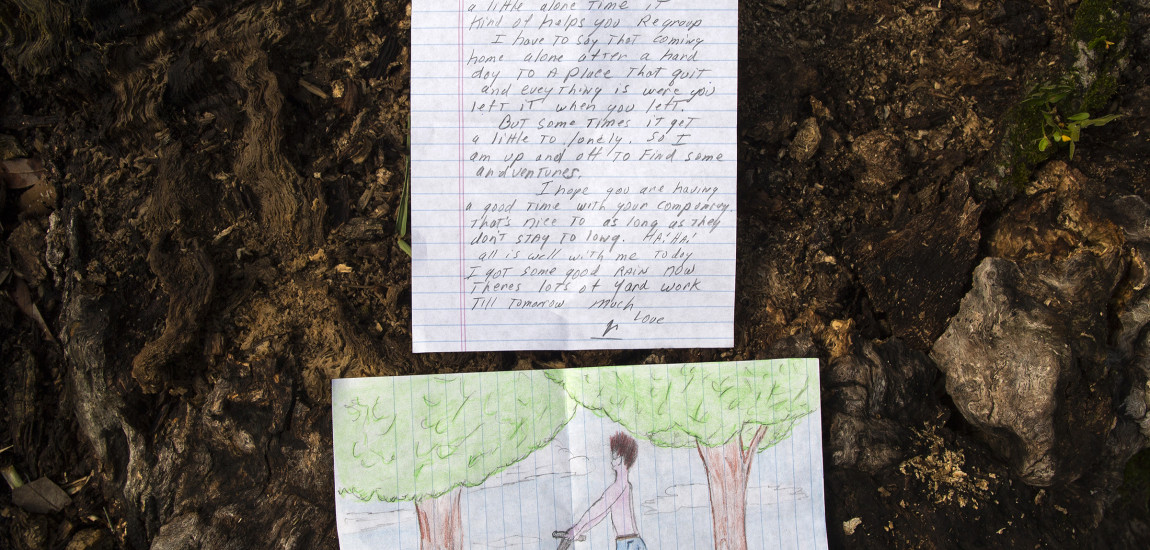 Love Letters in a Tree