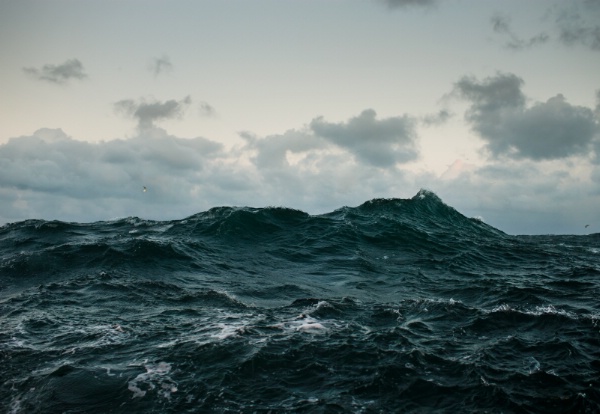 Corey Arnold (Portland, OR) The North Sea, 2026 20 x 29 inches Chromira C-Print From the series Fish-Work: Europe Courtesy of the artist and Charles A. Hartman Fine Art