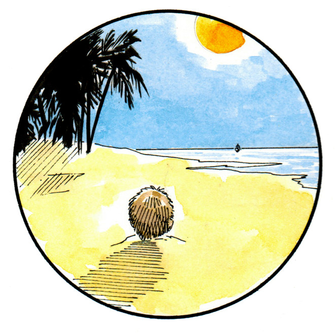 taylorbloomMarooned