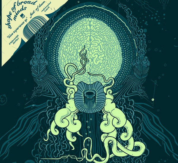 You Might Have Missed: Shape of Broad Minds