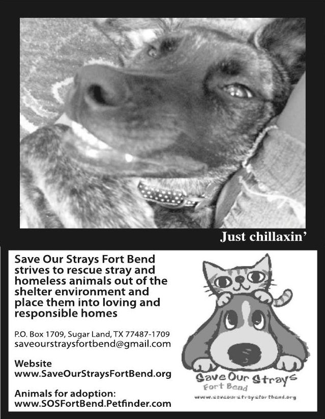 Advertisement: Save Our Strays Fort Bend animal adoption, Free Press Houston 2010.08, PDF page 25