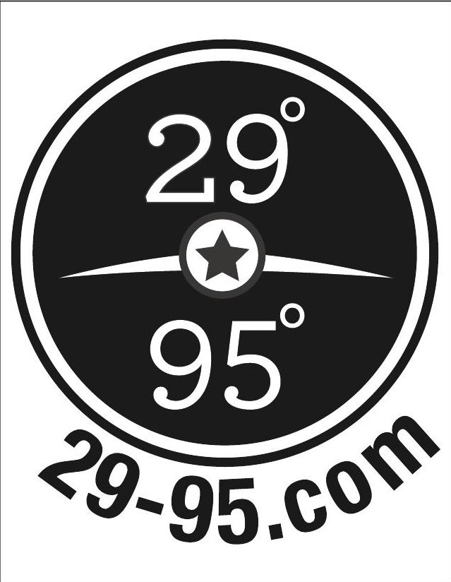 Advertisement: 29-95.com, Free Press Houston 2010.08, PDF page 31